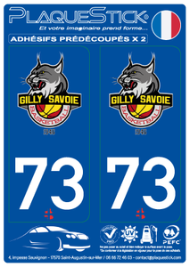 73 -Gilly-sur-Isère "Savoie Basketball" PlaqueStick