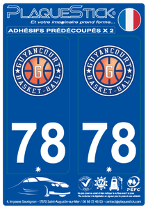 78 -Guyancourt "Basket Ball" PlaqueStick