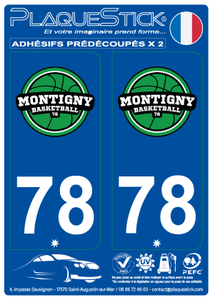 78 -Montigny-le-Bretonneaux "Basketball" PlaqueStick