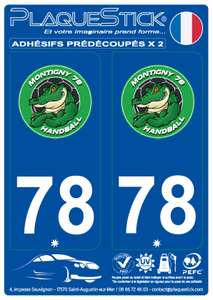 78 -Montigny-le-Bretonneaux "Handball" PlaqueStick