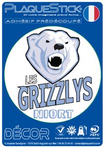 79 -Niort "Les Grizzlys" Hockey Club, Decor