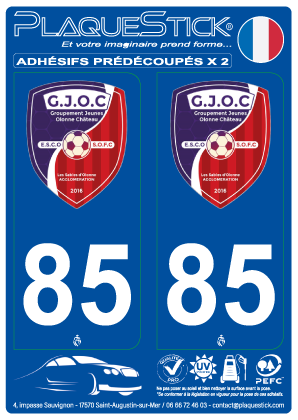 85 -Le Château-d'Olonne 