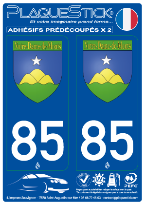 85 -Notre Dame-de-Monts 