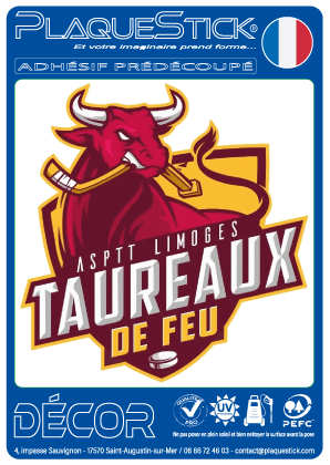 87 - Limoges 