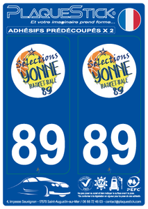 89 -Sélection-Yonne Basket-Ball PlaqueStick