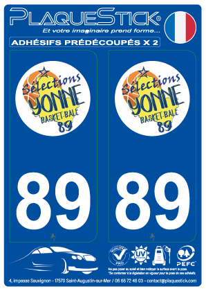 89 -Sélection-Yonne Basket-Ball PlaqueStick
