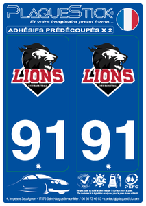 91 -Évry "Lions" Basketball PlaqueStick
