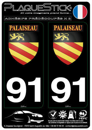 91 -Palaiseau 
