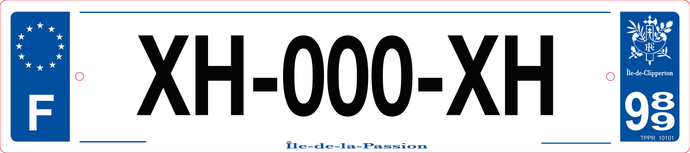989 -Plaque immatriculation 