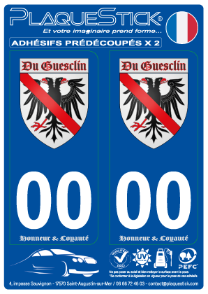 Bertrand du Guesclin 