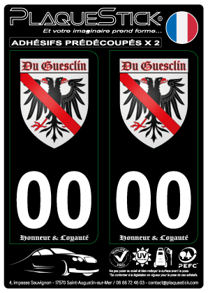 Bertrand du Guesclin 