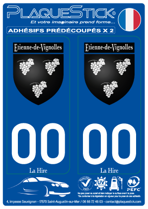 Etienne de Vignolles 