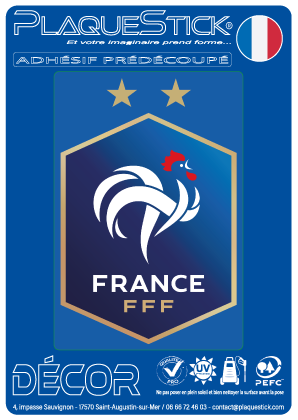 Fédération Française de Football 