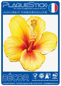 Hibiscus jaune" "Décor" A6