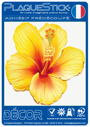 Hibiscus jaune