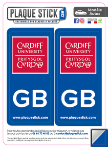 103 -Pays de Galles "Wales" -Cardiff University PlaqueStick