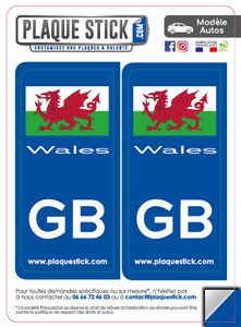103 -Pays de Galles "Wales" Flag PlaqueStick