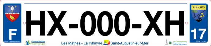 17 -Plaque immatriculation 