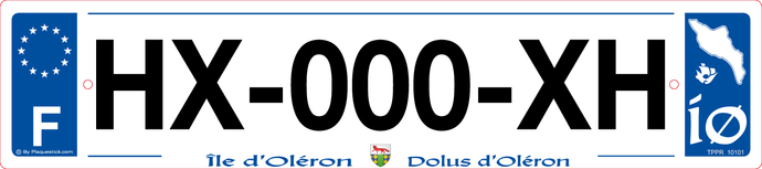 17 -Plaque immatriculation 