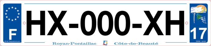 17 -Plaque immatriculation 