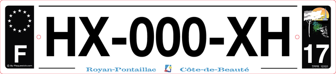 17 -Plaque immatriculation 