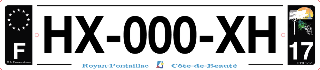 17 -Plaque immatriculation 