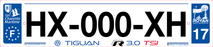 17 -Plaque immatriculation 