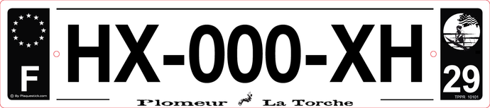 29 -Plaque immatriculation 