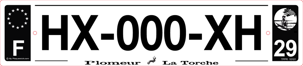 29 -Plaque immatriculation 