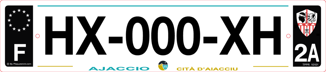 2A -Plaque immatriculation 