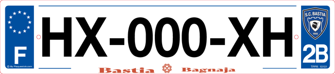 2B -Plaque immatriculation 