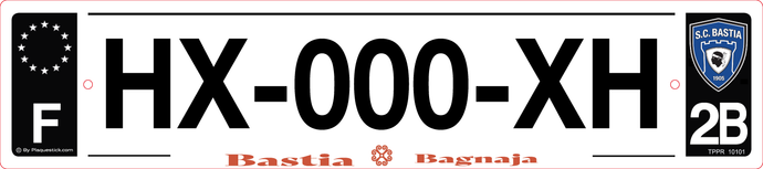 2B -Plaque immatriculation 