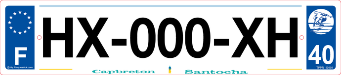 40 -Plaque immatriculation 