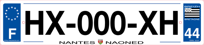 44 -Plaque immatriculation 