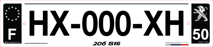 50 -Plaque immatriculation 