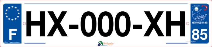85 -Plaque immatriculation 