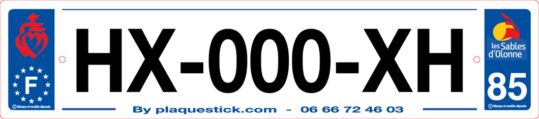 85 -Plaque immatriculation 