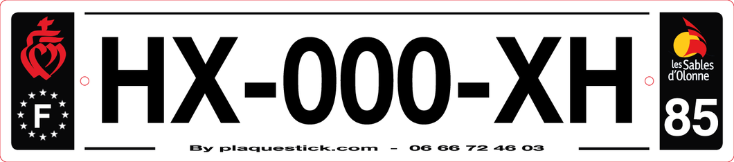 85 -Plaque immatriculation 
