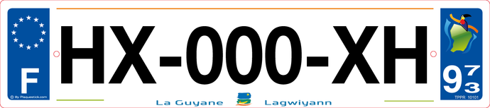973 -Plaque immatriculation 
