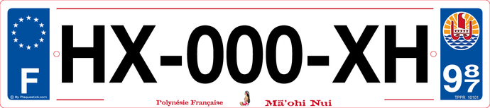 987 -Plaque immatriculation 