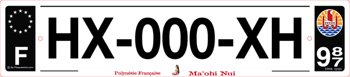 987 -Plaque immatriculation 