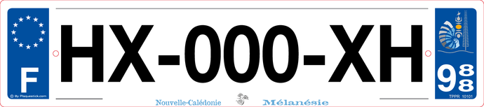988 -Plaque immatriculation 