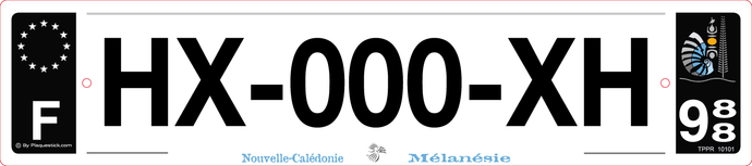 988 -Plaque immatriculation 