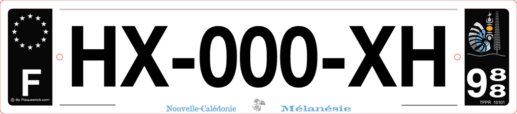988 -Plaque immatriculation 