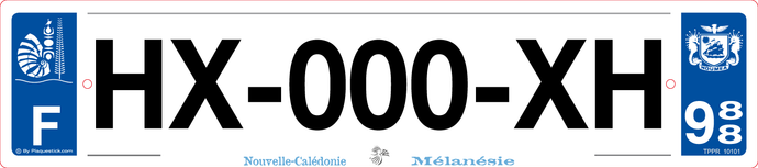 988 -Plaque immatriculation 