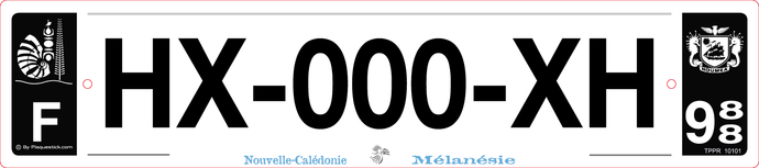 988 -Plaque immatriculation 